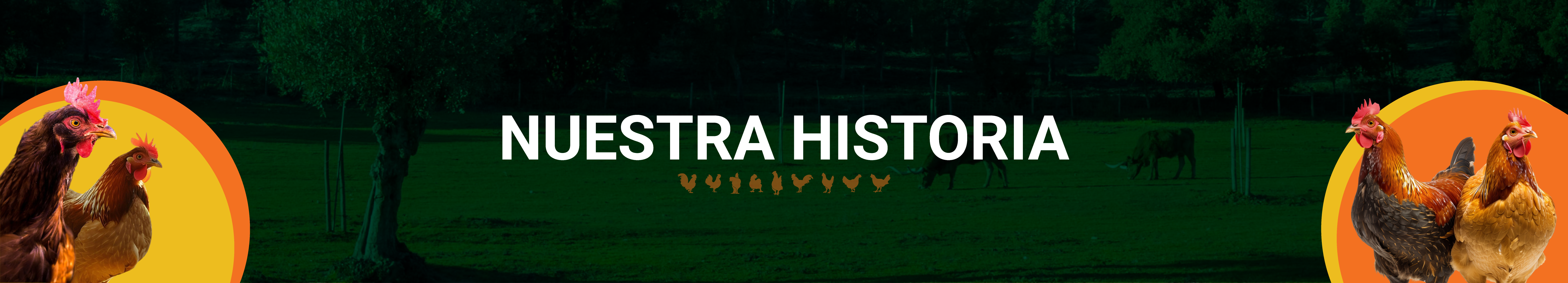 Banner de Historia